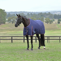 Weatherbeeta Comfitec Essential 0G Turnout #colour_navy-burgundy