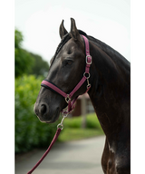 HKM Head Collar -Samantha- #colour_bordeaux