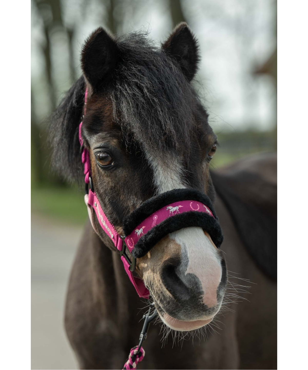 HKM Head Collar -Polly- #colour_magenta