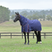 Weatherbeeta Comfitec Essential 50G Detach-A-Neck Turnout #colour_navy-burgundy