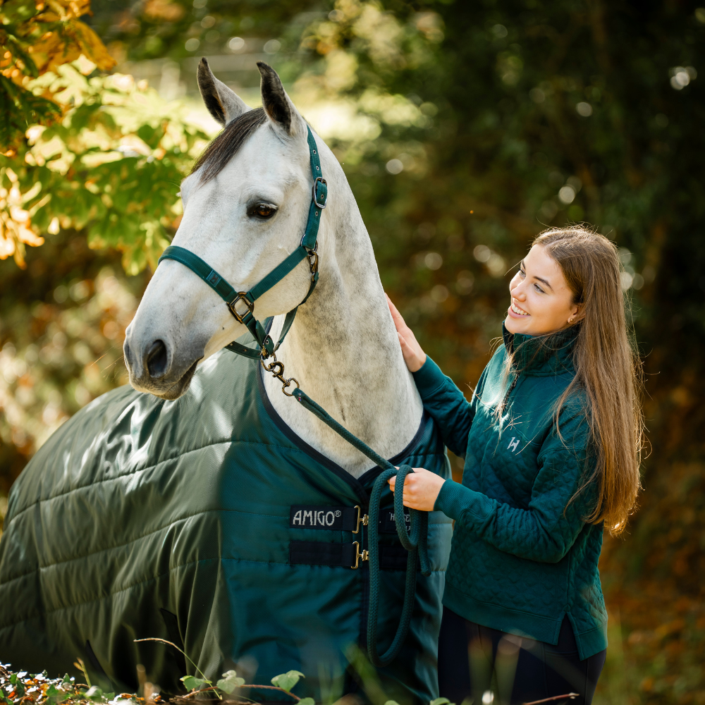 Horseware Ireland Amigo Ripstop 900 0g Turnout Rug #colour_dynasty-green-navy-silver