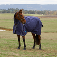 Weatherbeeta Comfitec Prelim 220G Combo Turnout #colour-navy-embossed-plaid
