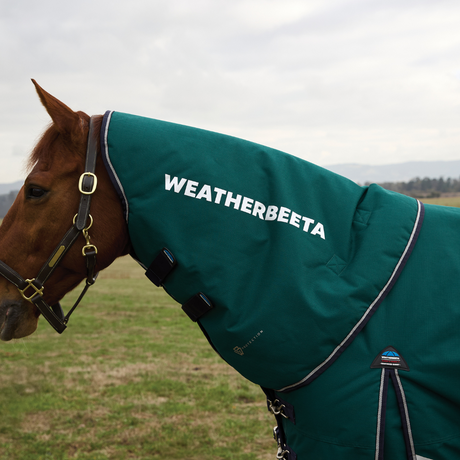 Weatherbeeta Comfitec Plus Dynamic 100G Turnout Neck Cover #colour_forest-green-navy