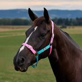 Dublin Everyday Nylon Headcollar for Horses