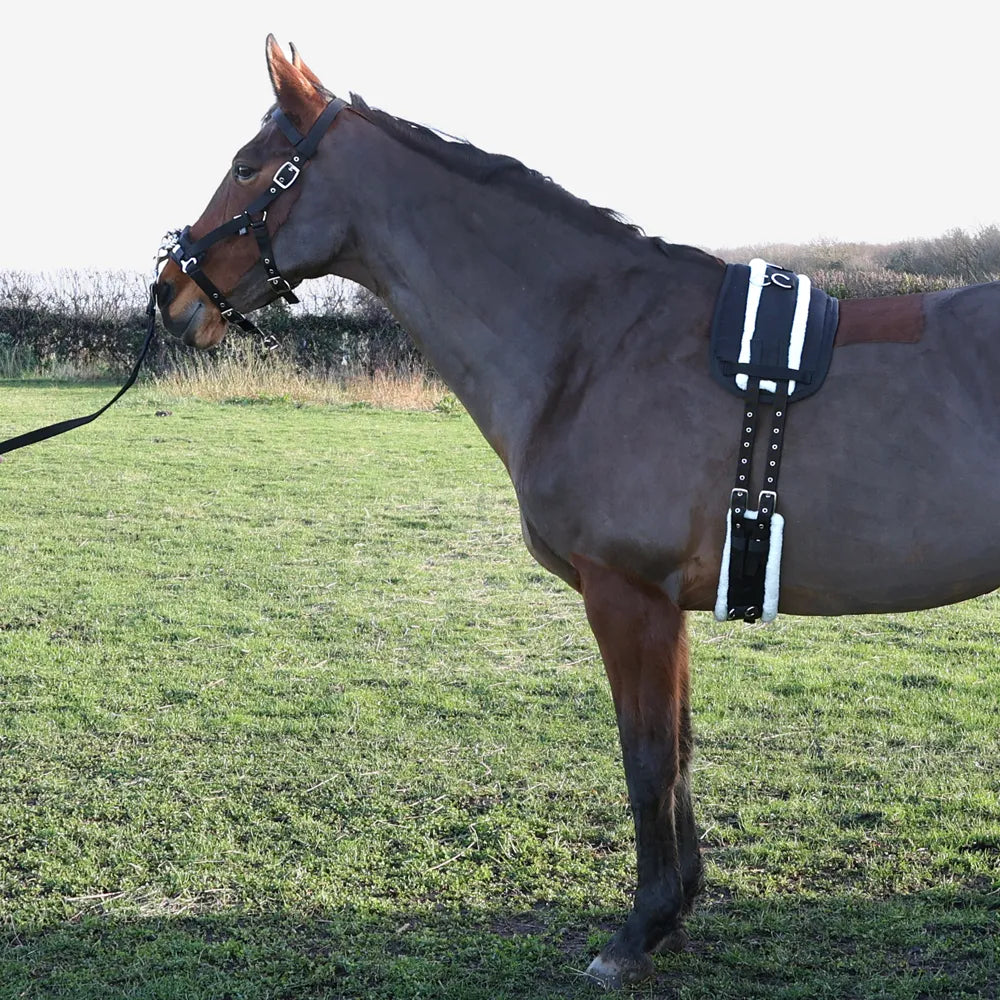 Hy Equestrian Lunge Roller Pad