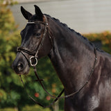 Dublin Padded Mono Crown Patent Flash Bridle with Crystal Browband