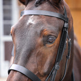 Shires Velociti GARA Leather Blinkers