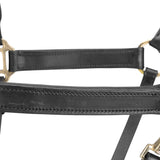 Licol de voyage en cuir Shires Velociti GARA