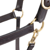Licol de voyage en cuir Shires Velociti GARA