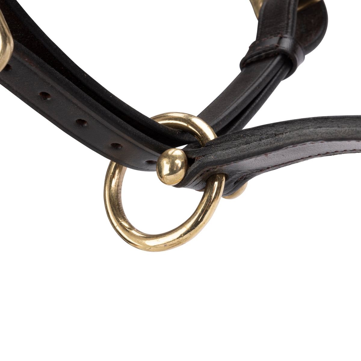 Licol de voyage en cuir Shires Velociti GARA