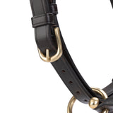 Licol de voyage en cuir Shires Velociti GARA