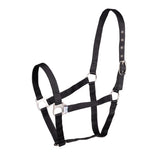 Shires Wessex Headcollar