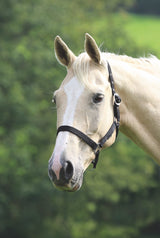Shires Wessex Headcollar