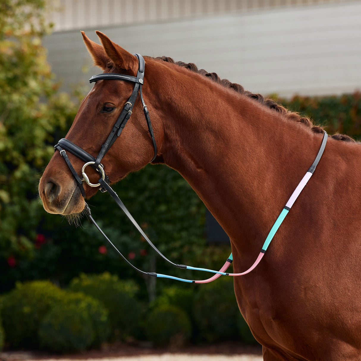 Dublin Pastel Rainbow Reins with Rubber Grip for Beginners