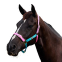 Dublin Everyday Nylon Headcollar for Horses