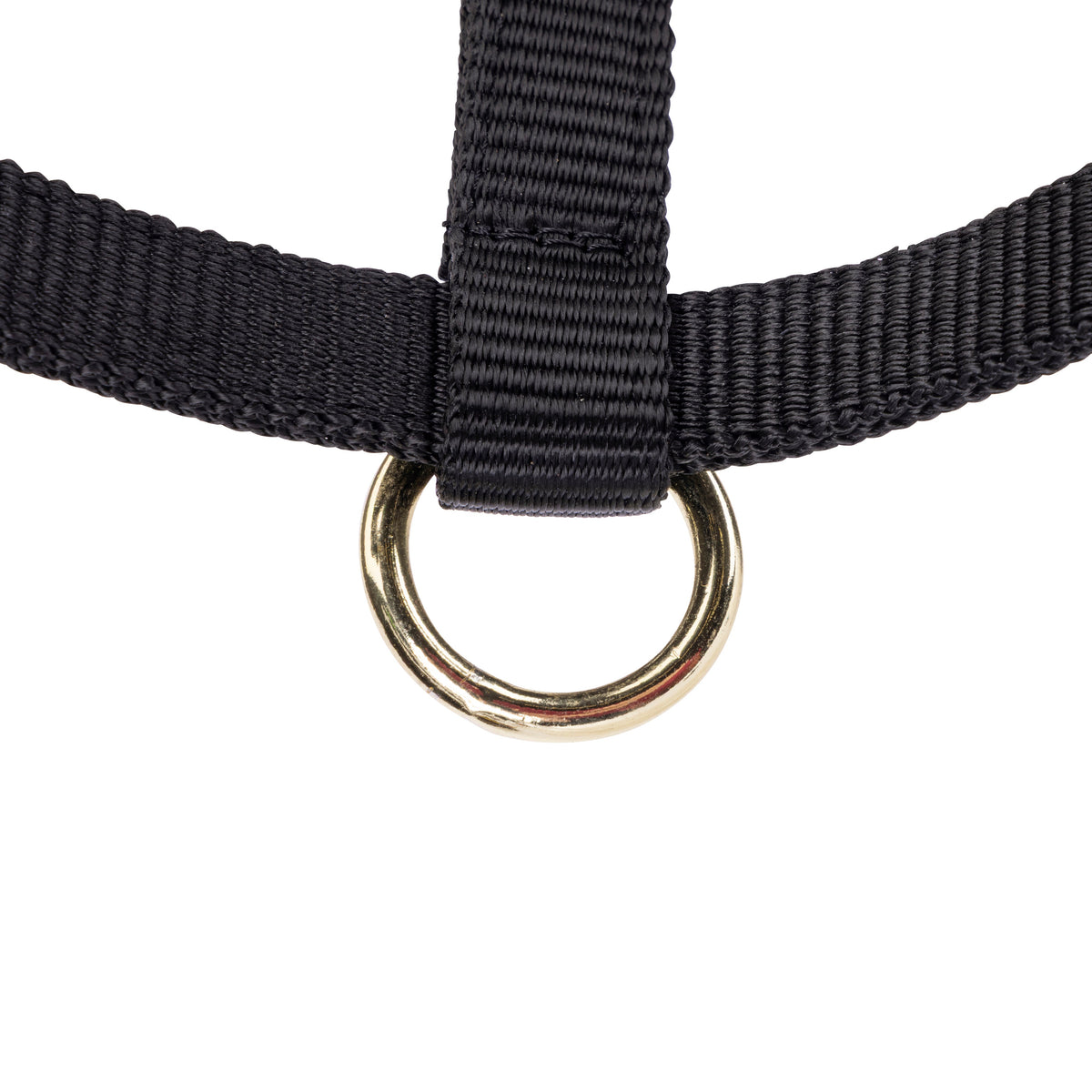 Shires Fohlen-Halfter aus Nylon