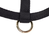 Shires Fohlen-Halfter aus Nylon