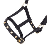 Shires Fohlen-Halfter aus Nylon