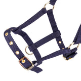 Shires Fohlen-Halfter aus Nylon