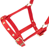 Shires Fohlen-Halfter aus Nylon