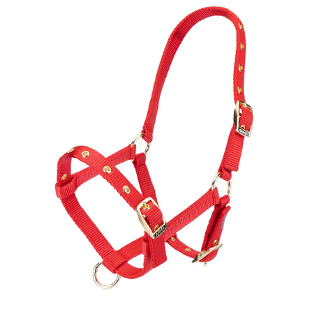 Shires Fohlen-Halfter aus Nylon