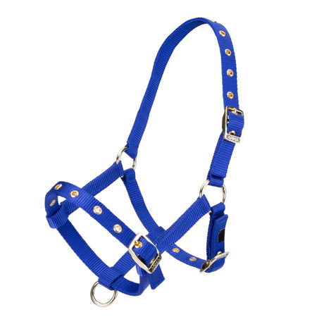 Shires Fohlen-Halfter aus Nylon