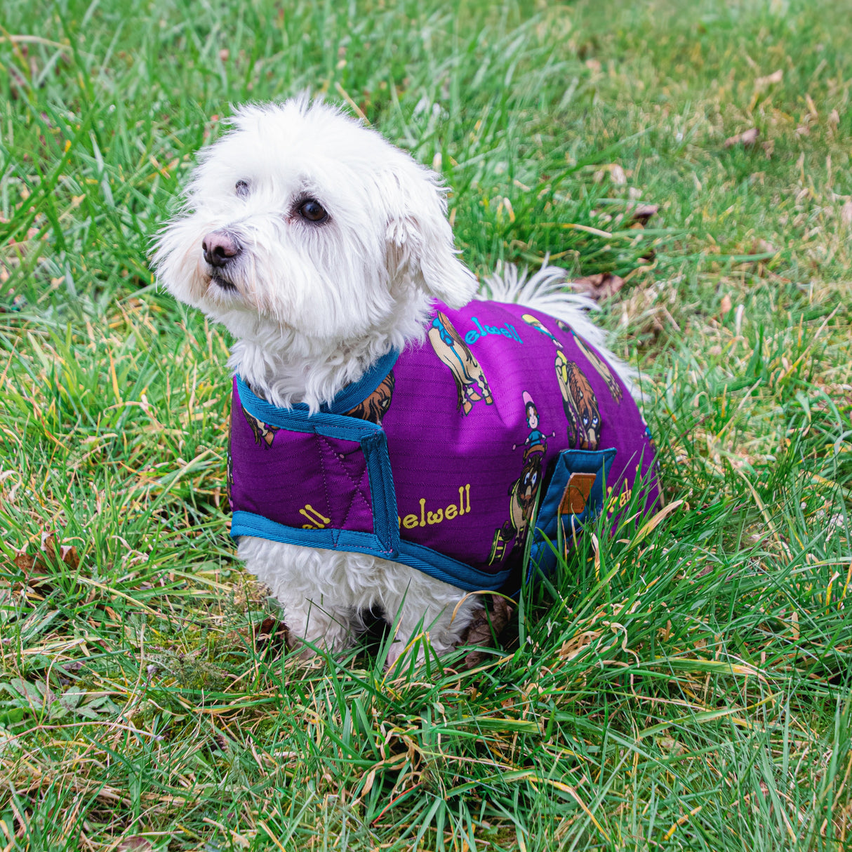 Benji &amp; Flo Thelwell Collection Manteau pour chien Pony Friends