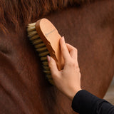 Waldhausen Exclusive Line Contour Brush