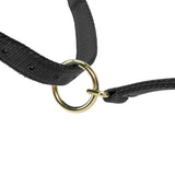 Licol Shires Topaz en nylon