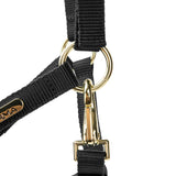 Licol Shires Topaz en nylon