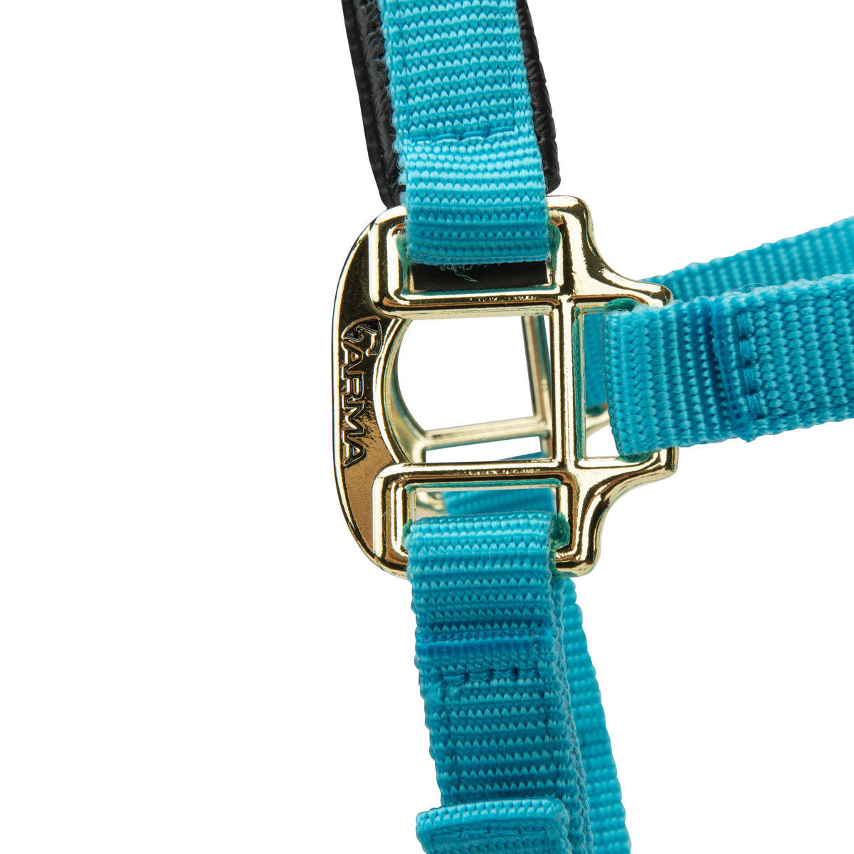 Licol Shires Topaz en nylon