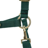 Licol Shires Topaz en nylon