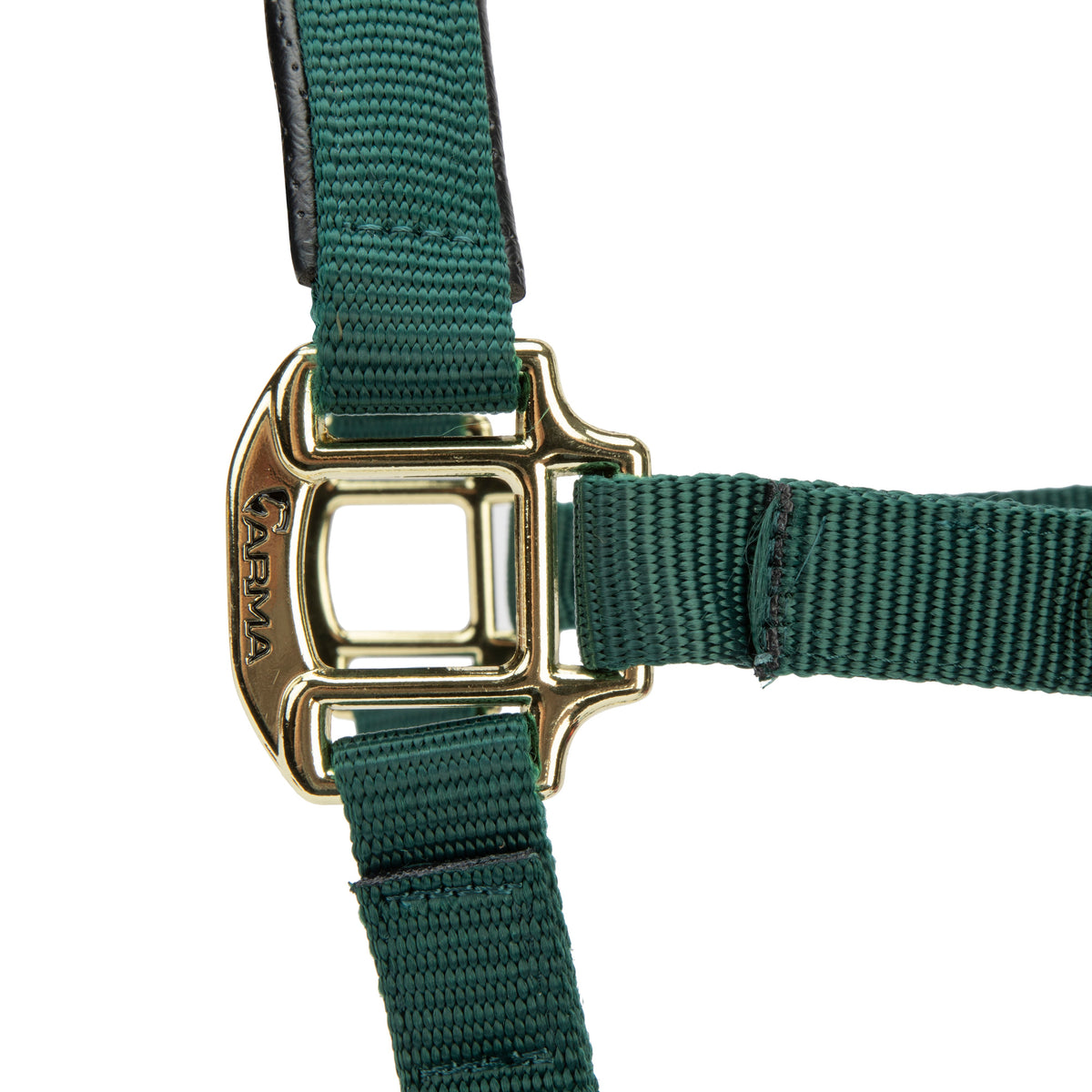 Licol Shires Topaz en nylon
