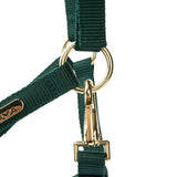 Licol Shires Topaz en nylon