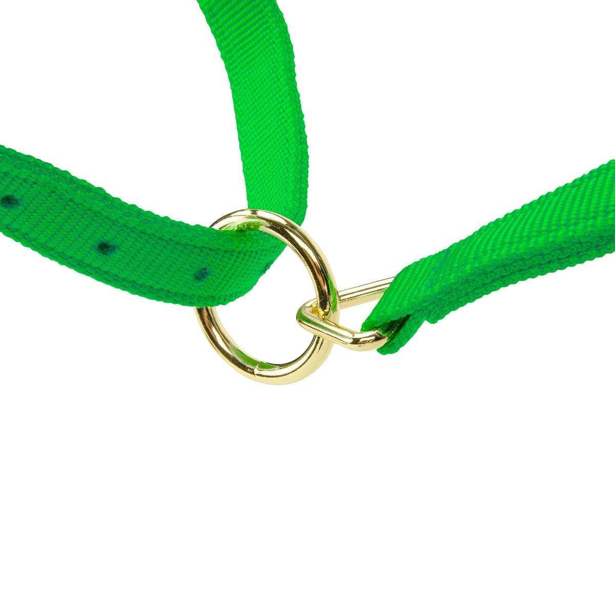 Licol Shires Topaz en nylon