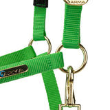 Licol Shires Topaz en nylon