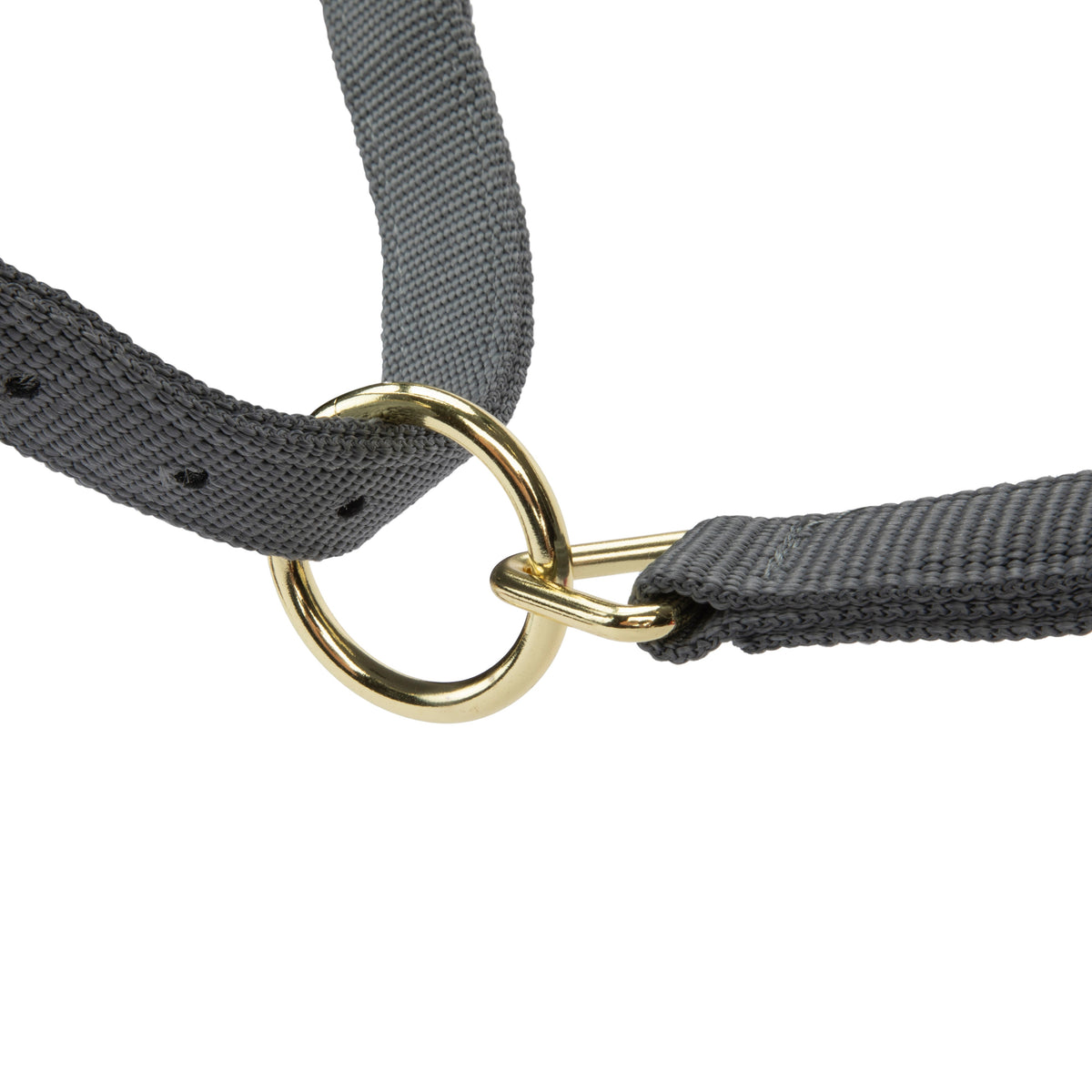 Licol Shires Topaz en nylon