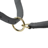 Licol Shires Topaz en nylon