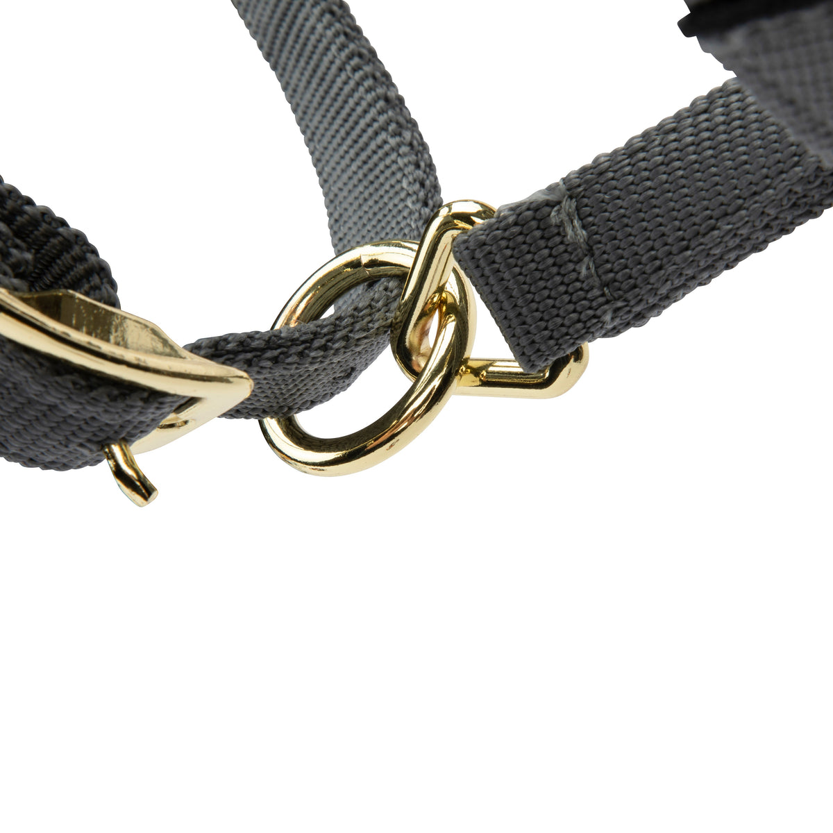 Licol Shires Topaz en nylon