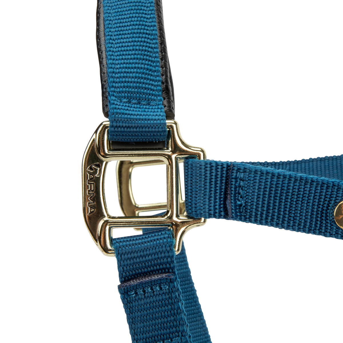 Licol Shires Topaz en nylon