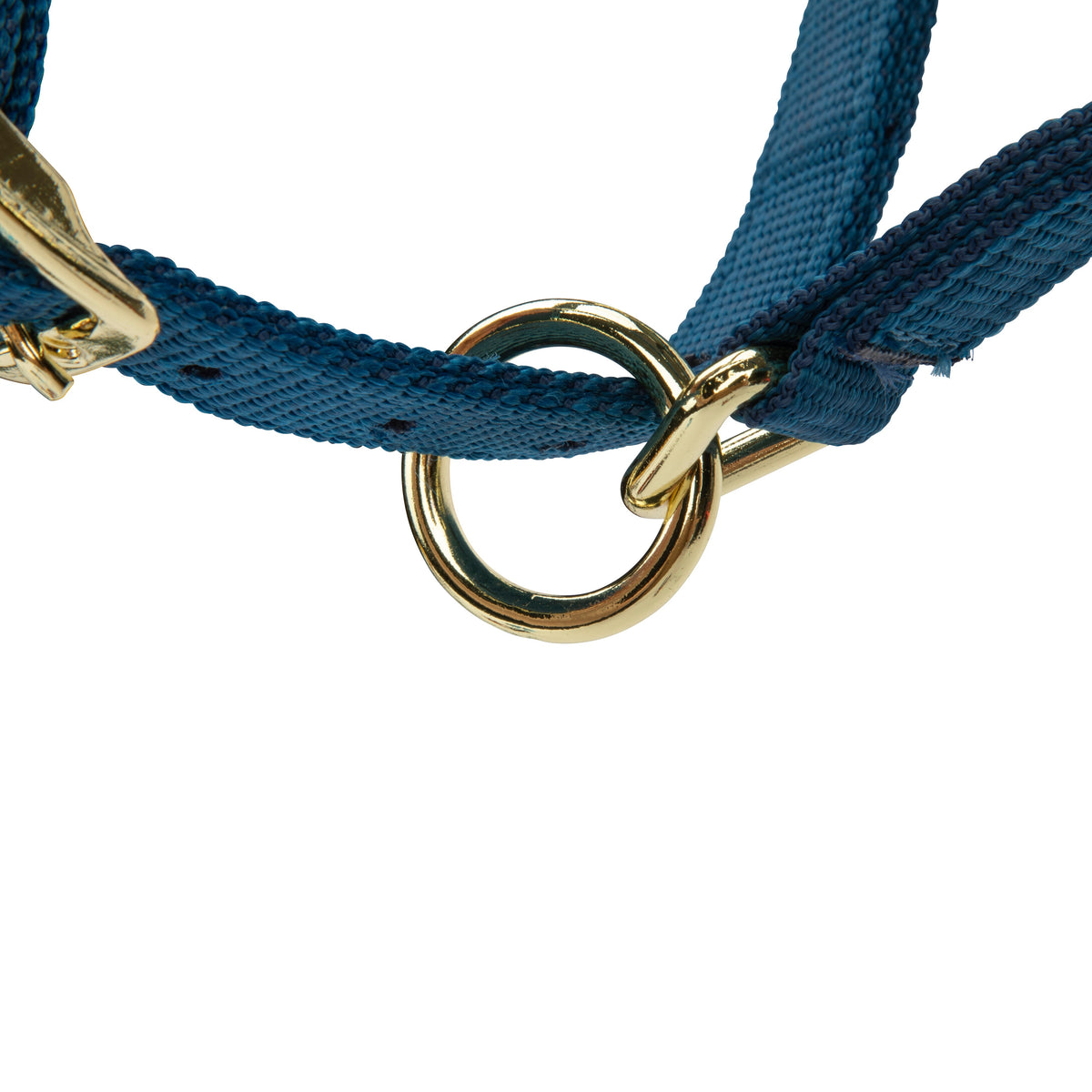 Licol Shires Topaz en nylon