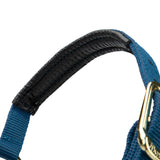 Licol Shires Topaz en nylon