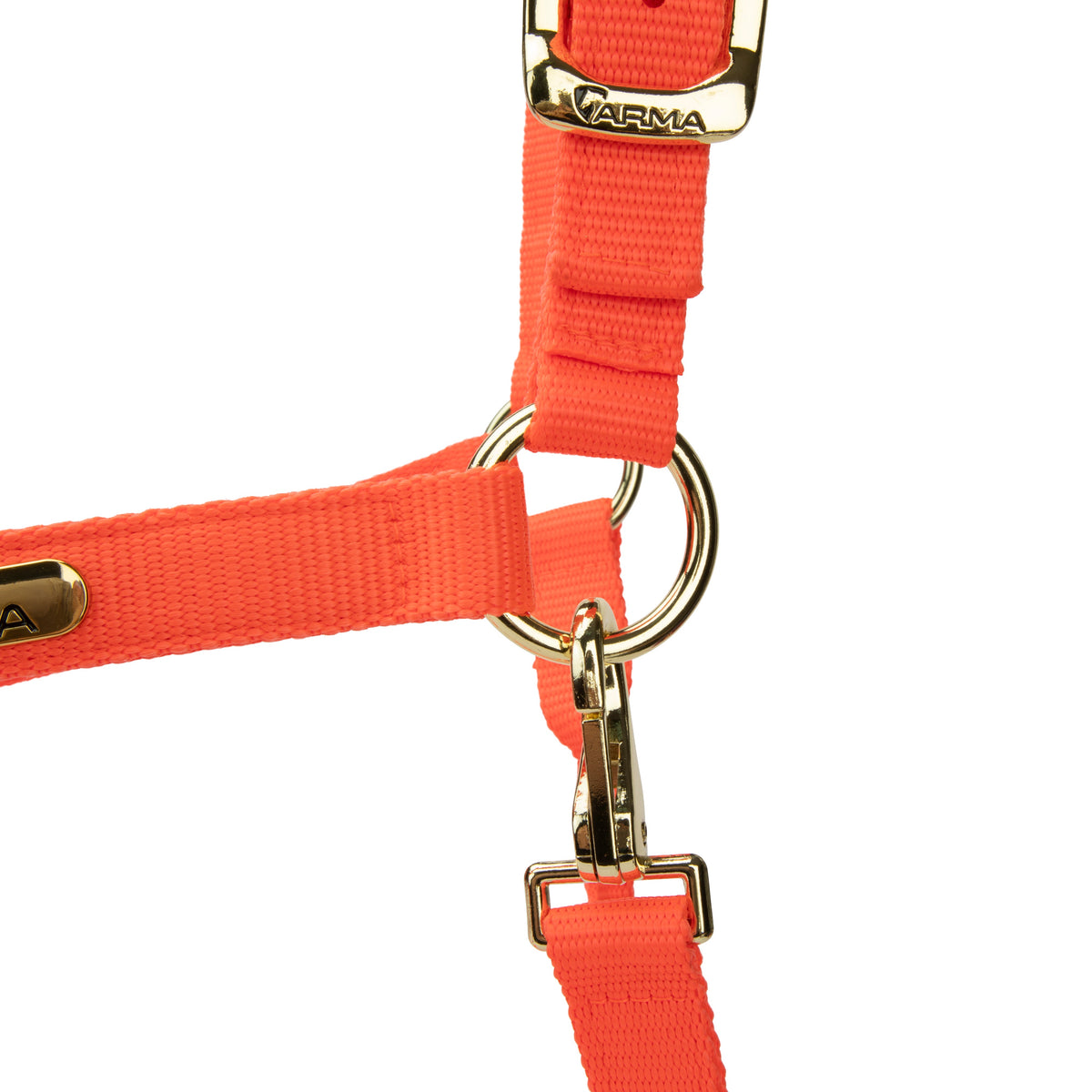Licol Shires Topaz en nylon
