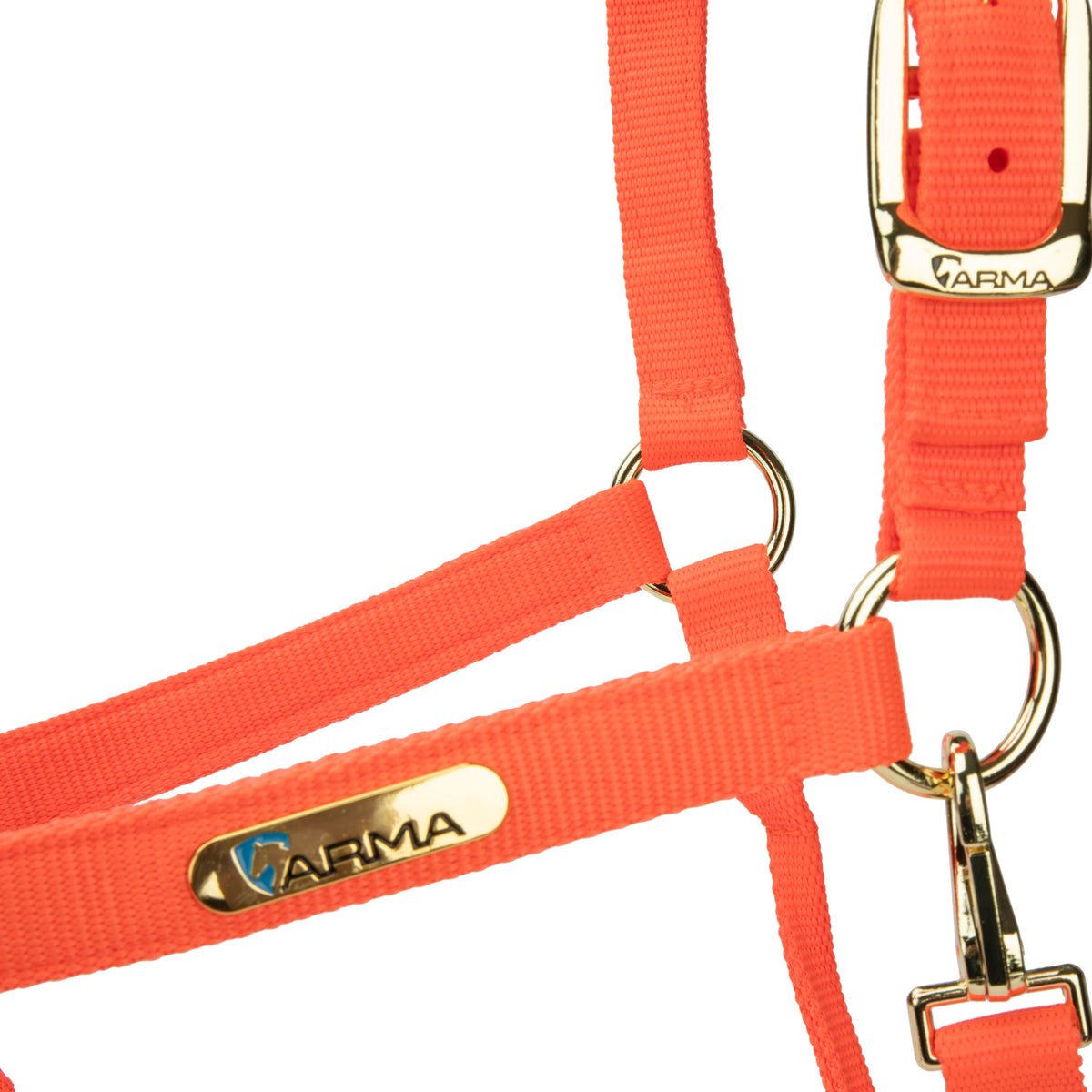 Licol Shires Topaz en nylon
