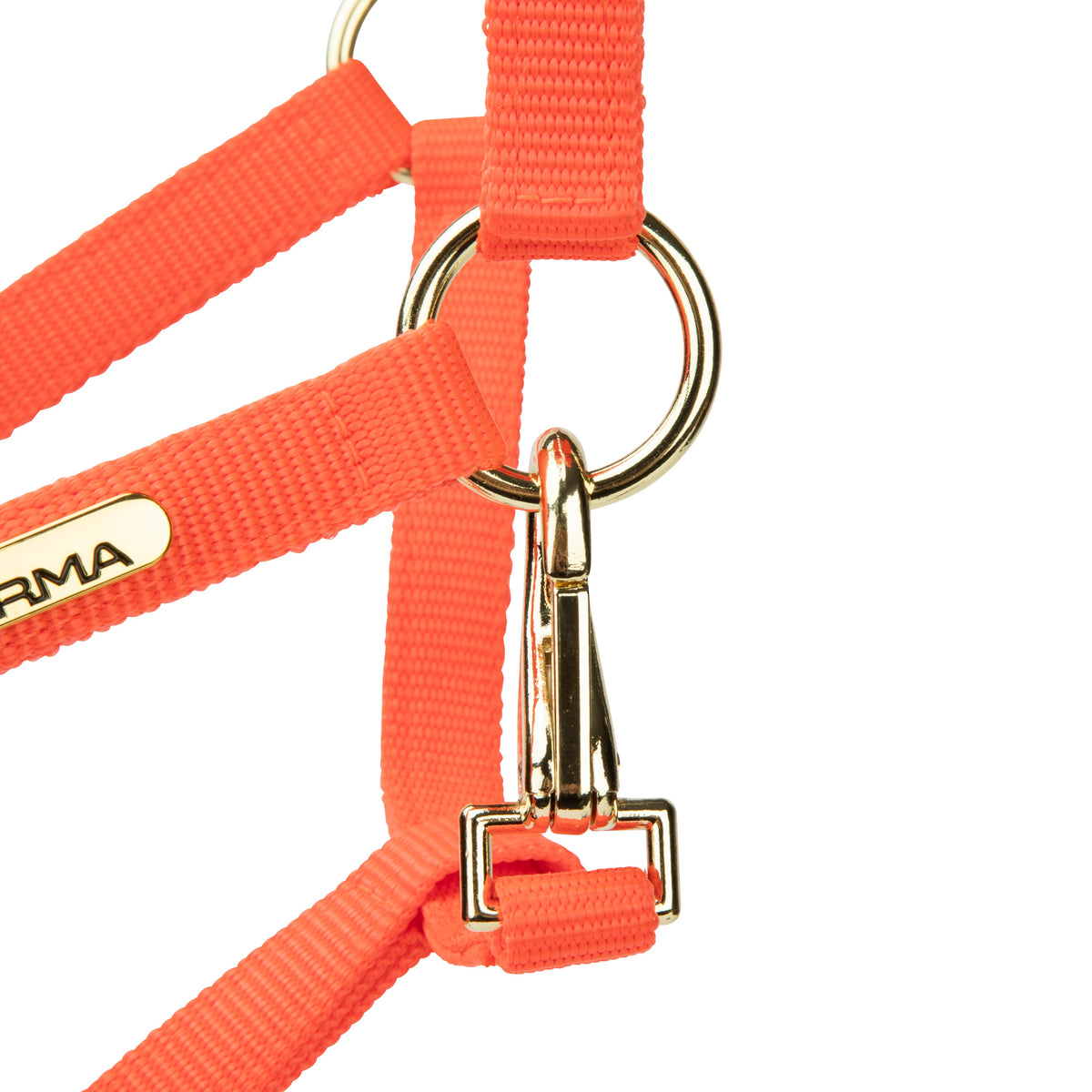 Licol Shires Topaz en nylon