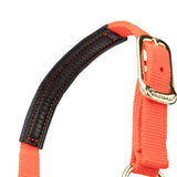 Licol Shires Topaz en nylon