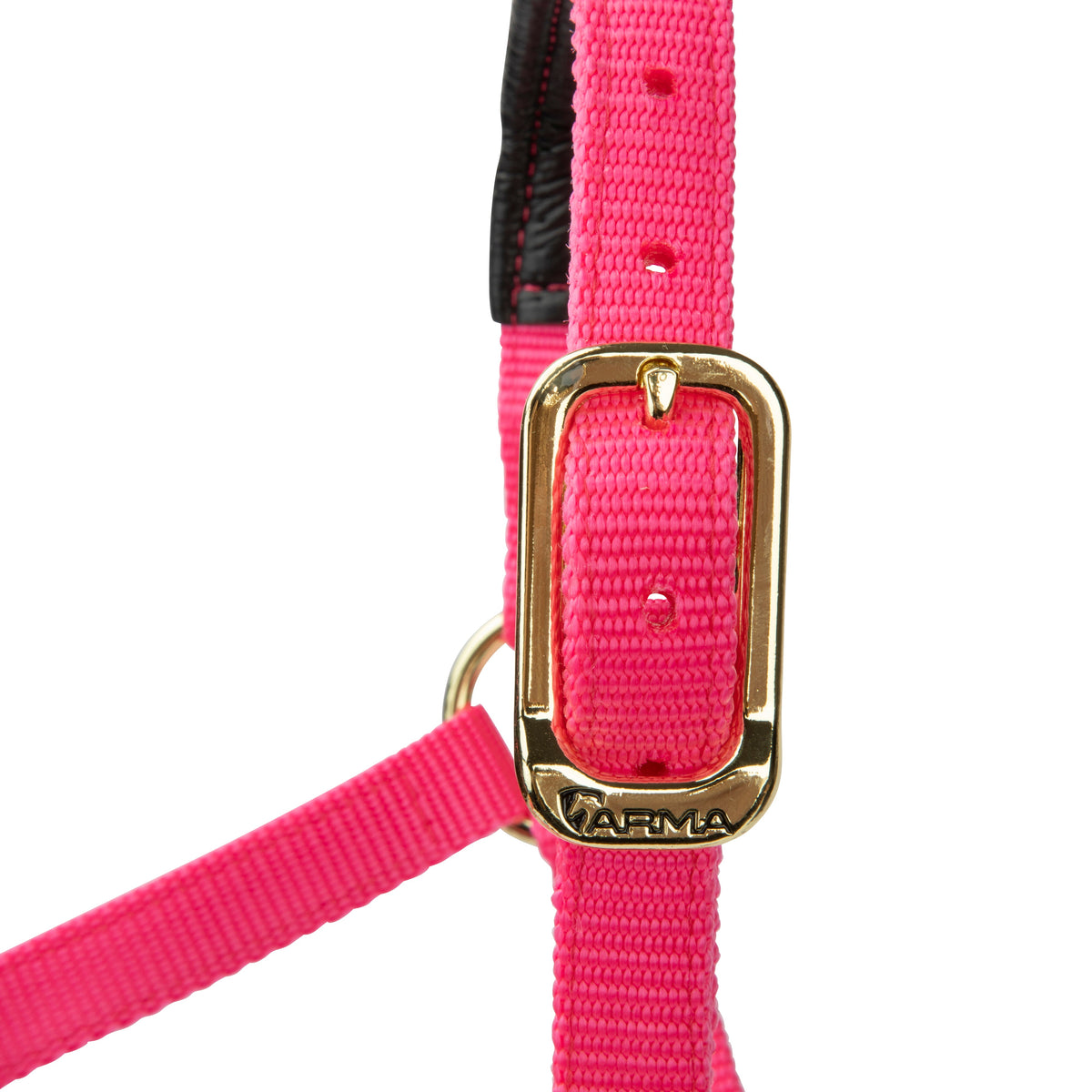 Licol Shires Topaz en nylon