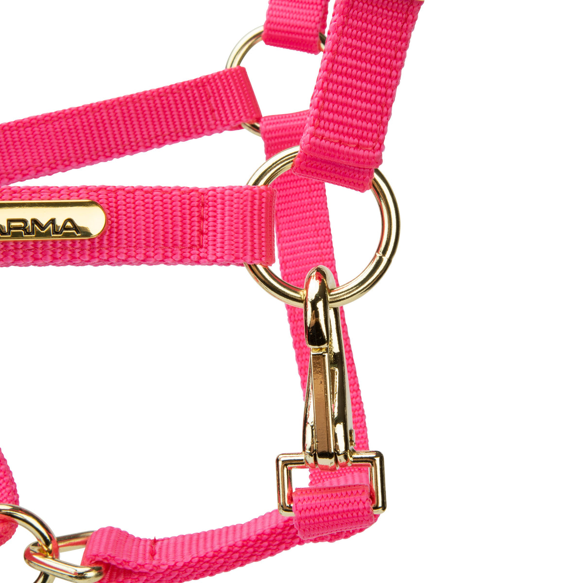 Licol Shires Topaz en nylon
