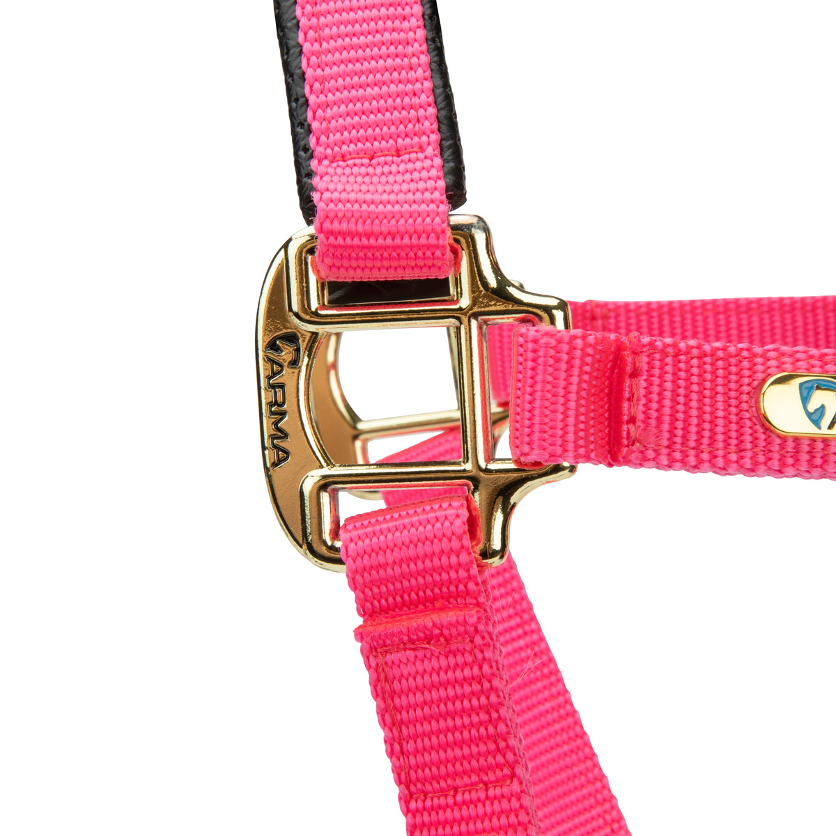 Licol Shires Topaz en nylon