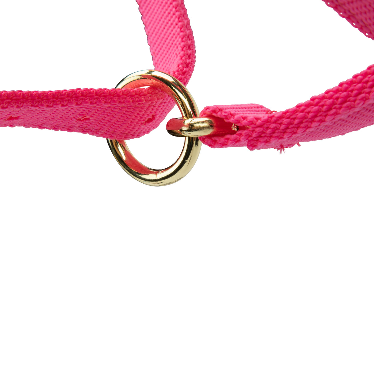 Licol Shires Topaz en nylon